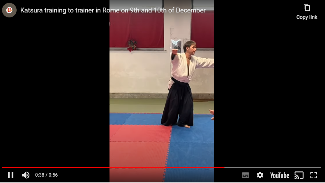 Read more about the article Katsura training to trainer in Rome on 9th and 10th of December